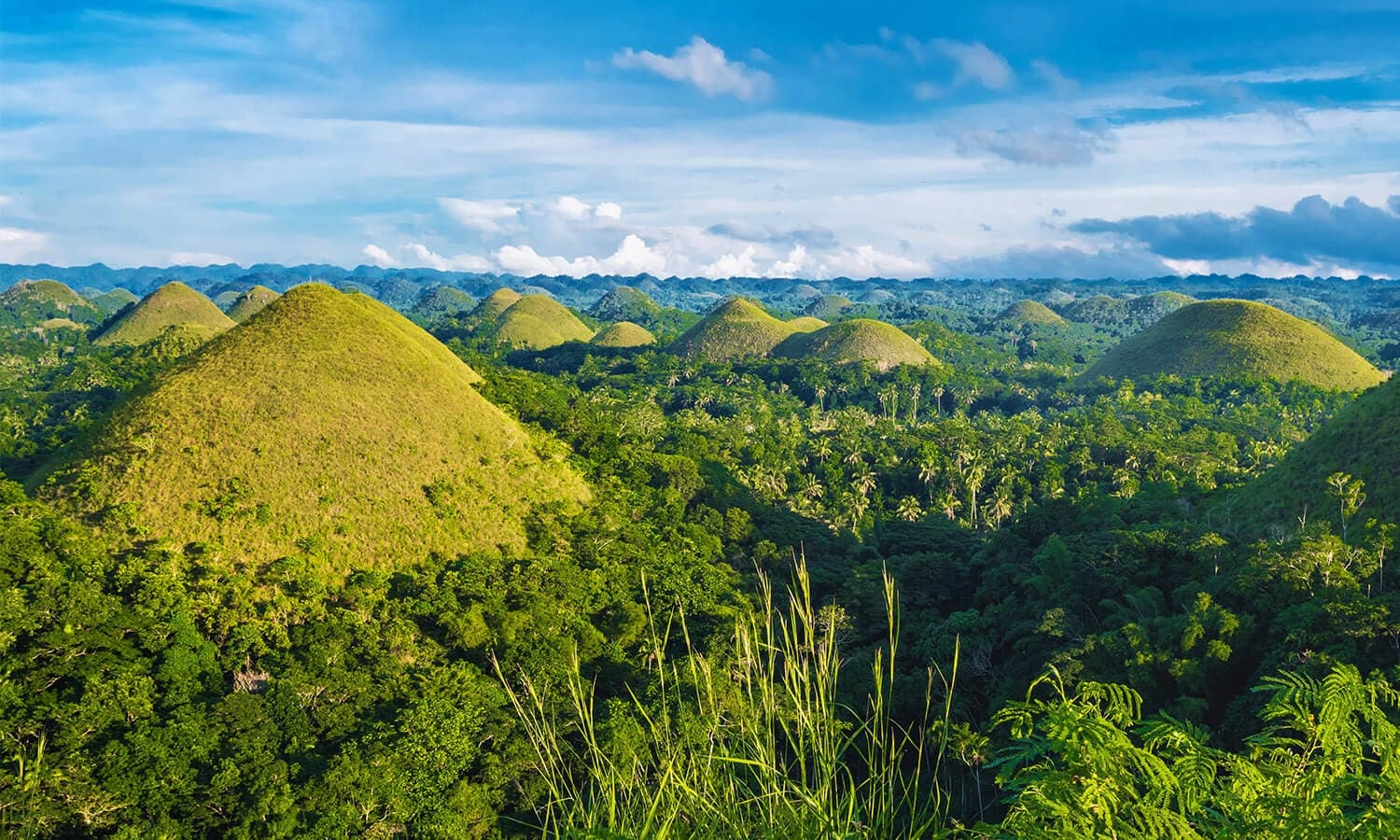 Chocolate Hills