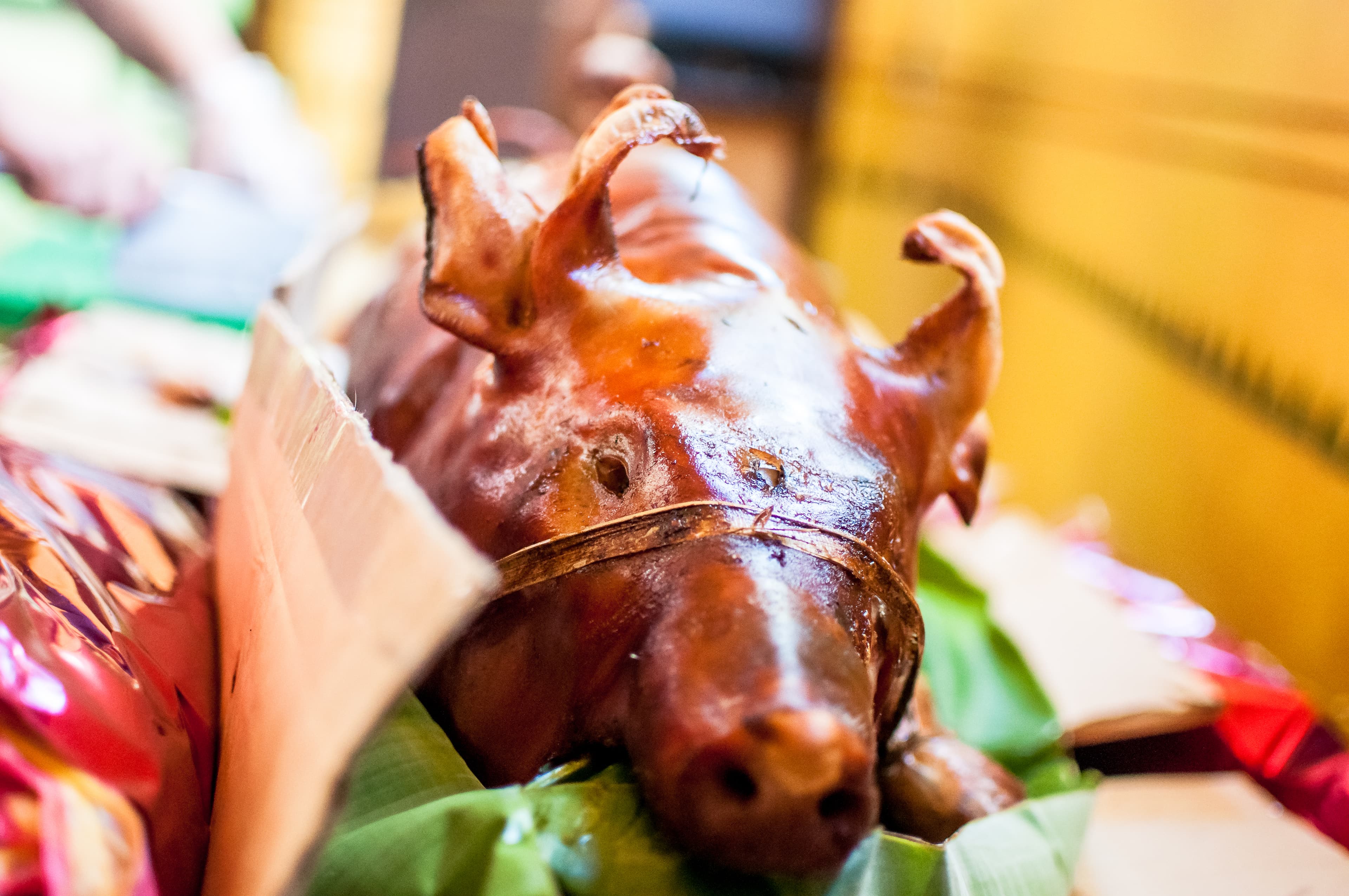 Crispy Cebu Roasted Lechon Belly