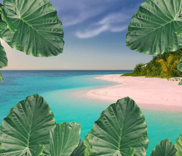 Top 10 Perfect Summer Beach Destinations in the Philippines that you might not have heard of – 2021 edition