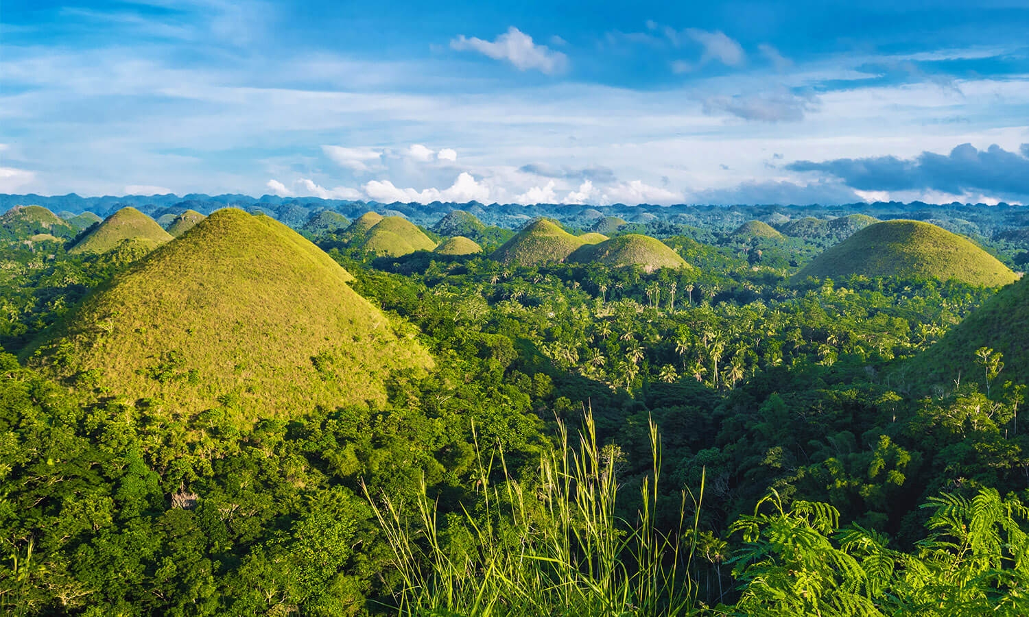 Chocolate Hills Bohol Attractions Things To Do And Guides Vacationhive